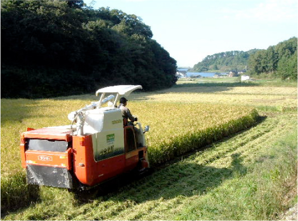 良田生産組合