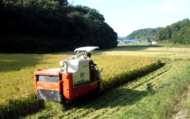 良田生産組合写真１